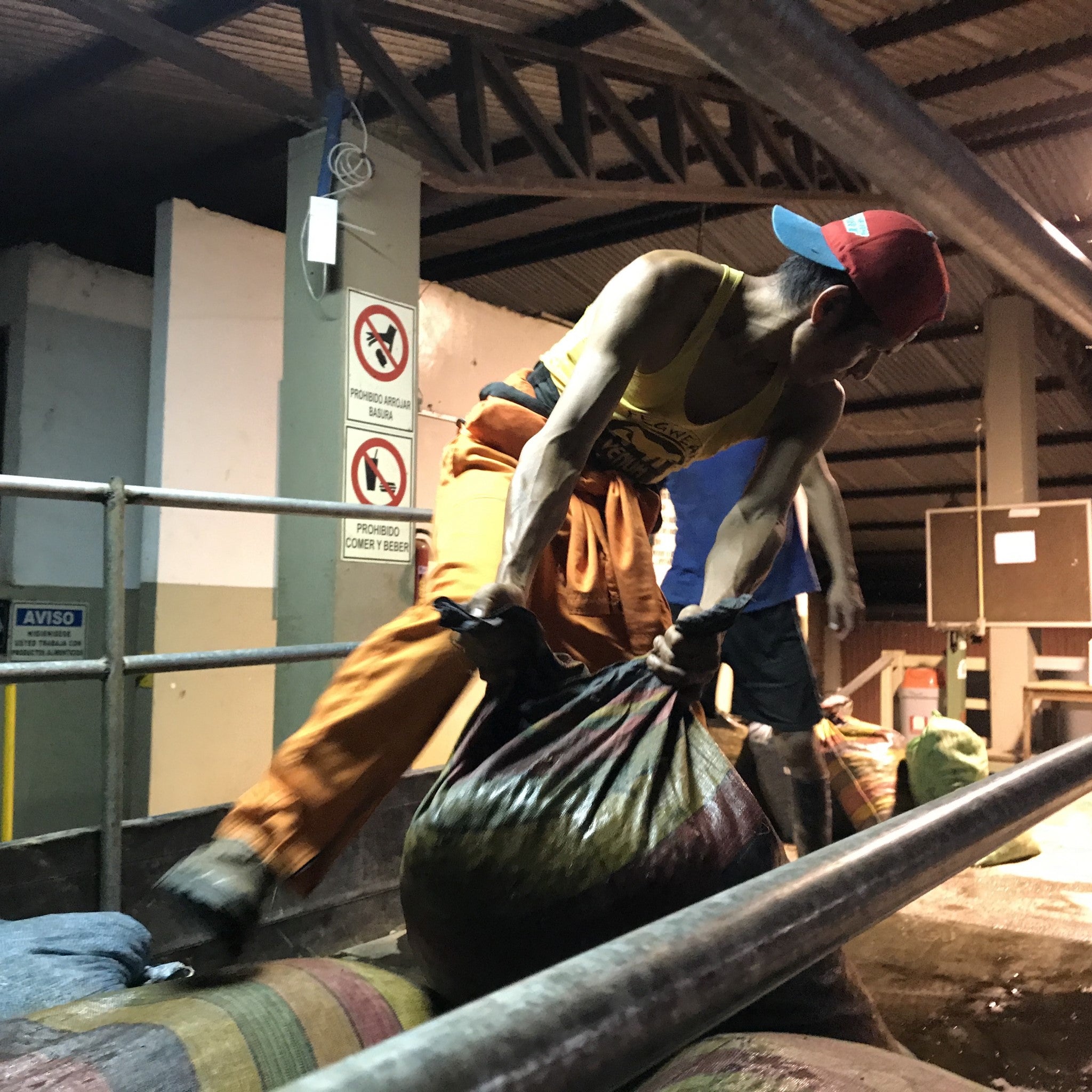 A figure moves sacks of green coffee in a Bolivian washing station