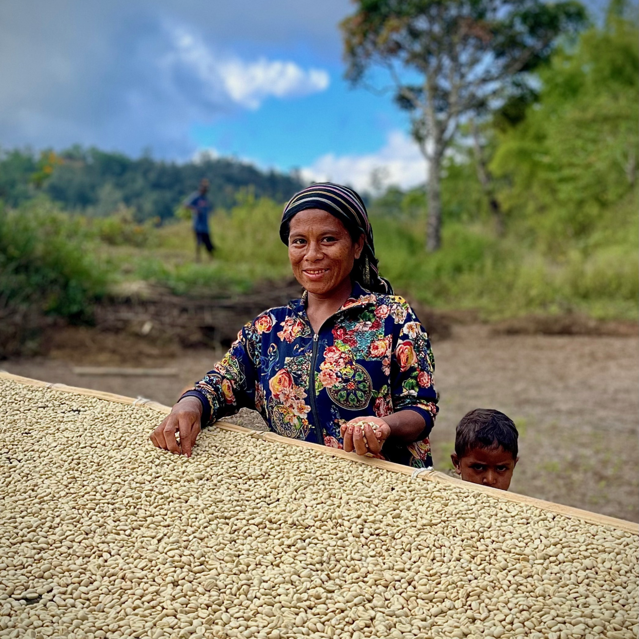 A worker sorting processed green coffee on raised beds in East Timor, courtesy of Karst Organics