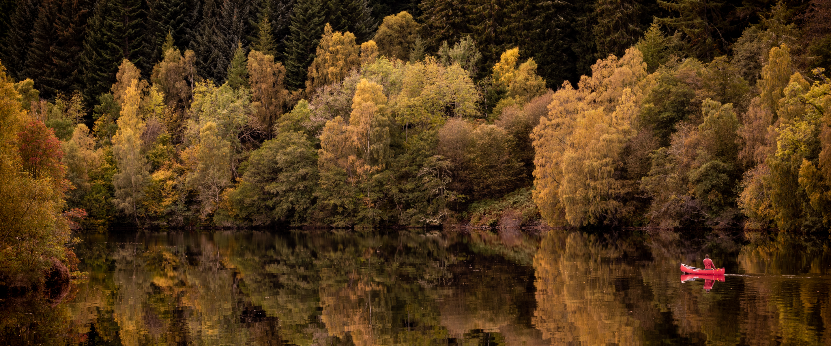 A wide shot of a canoe on a calm lake with trees in the background
                                        