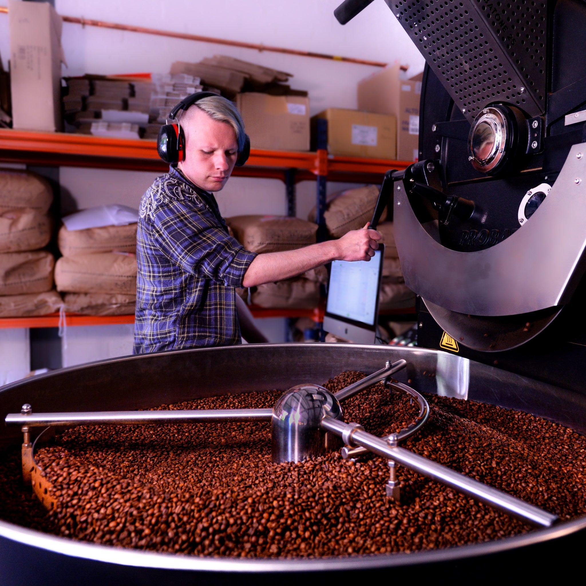 Medium shot of a person wearing ear protectors standing at a Probat speciality coffee roaster with freshly roasted coffee in the cooling tray