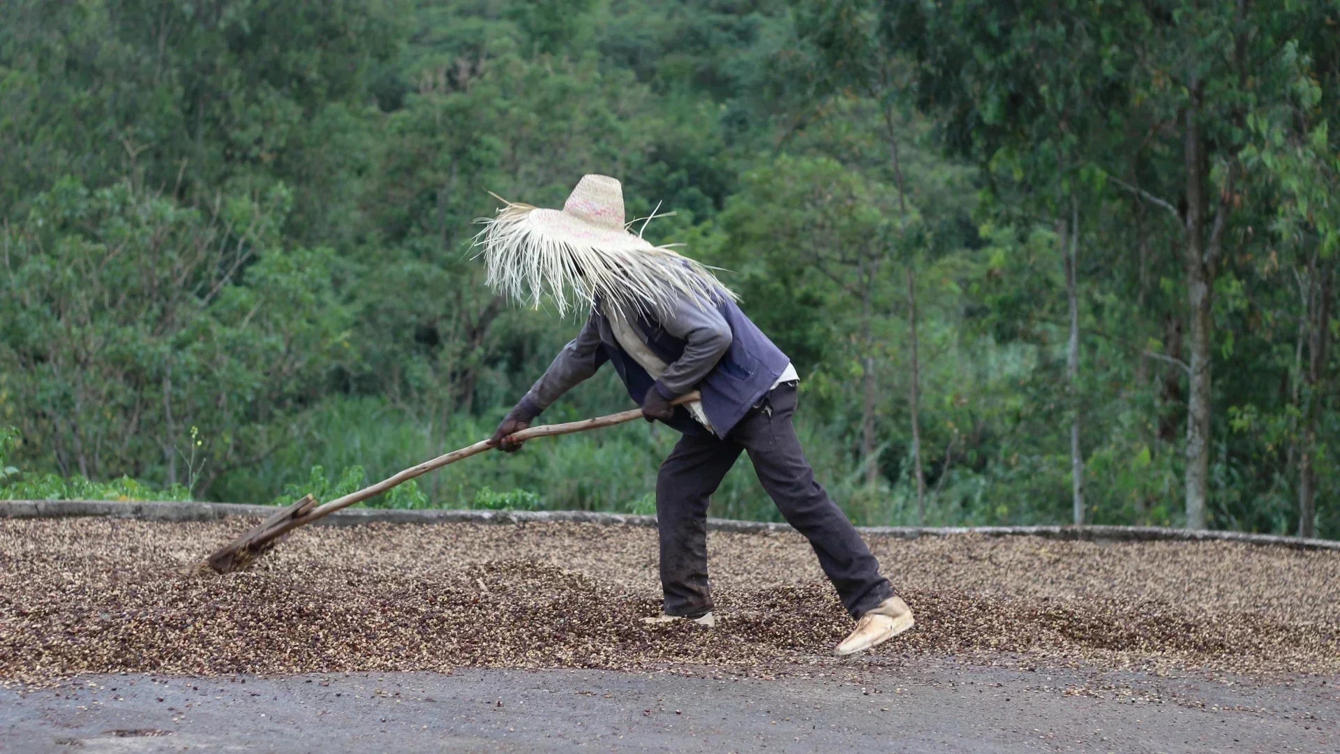 A Floral and Peachy Delight from Sidama in Ethiopia