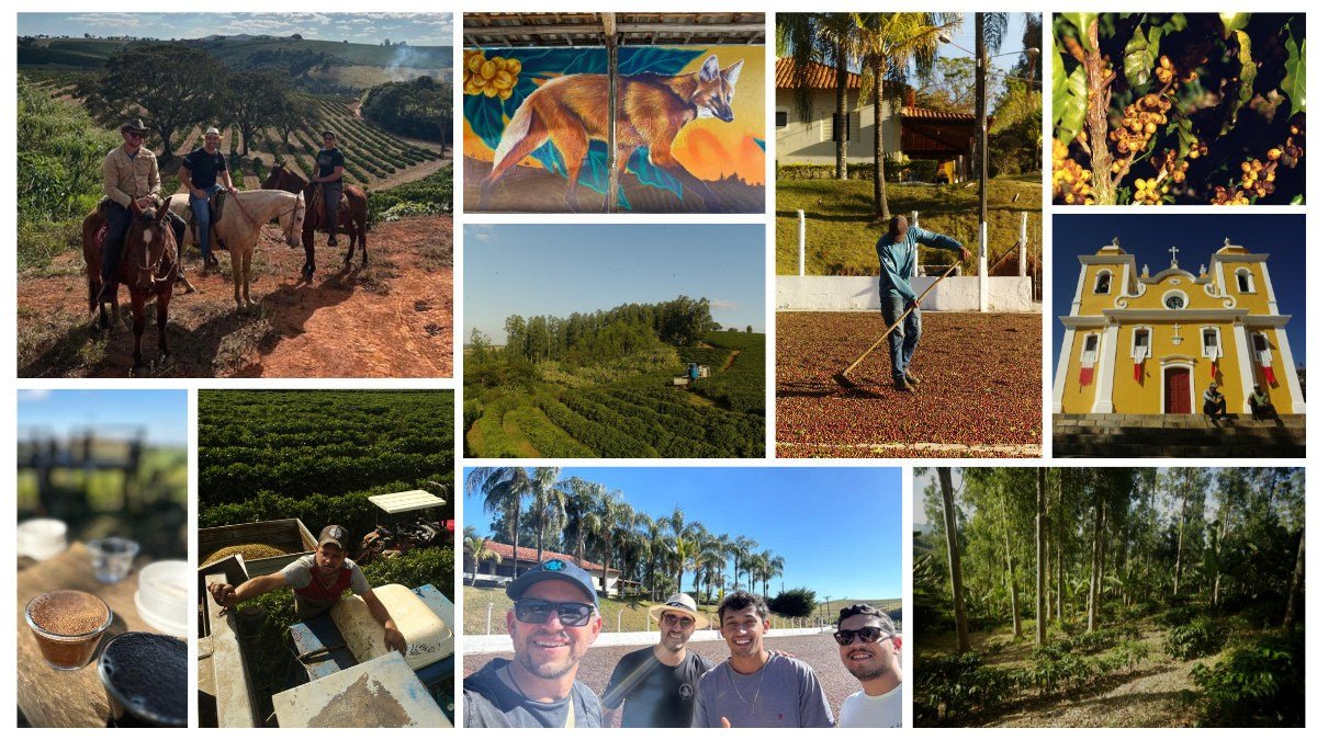 A collage of images captured whilst traveling in Brazil. These include coffee workers, farms, trees, and processing,