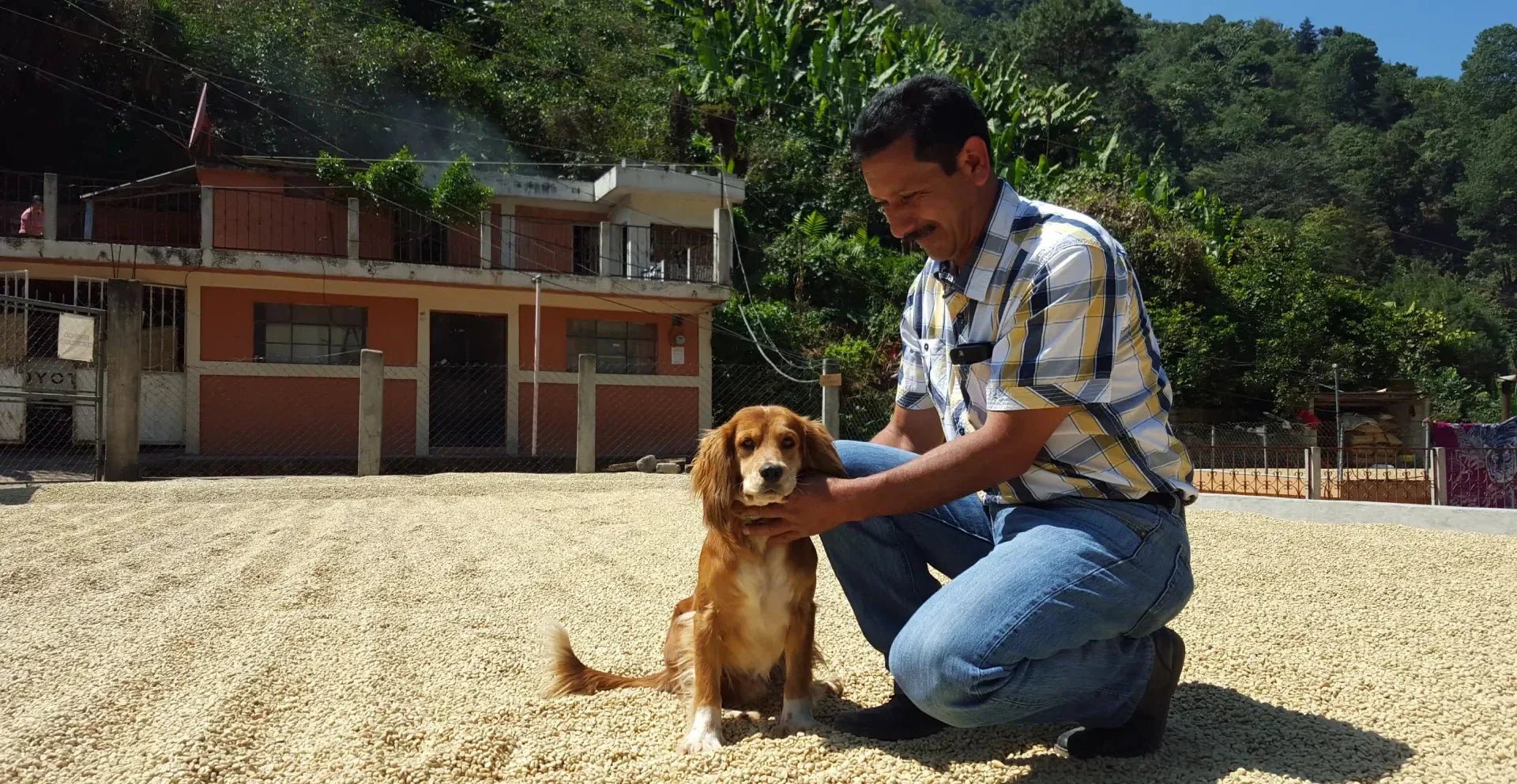A Dynastic Coffee from Guatemala