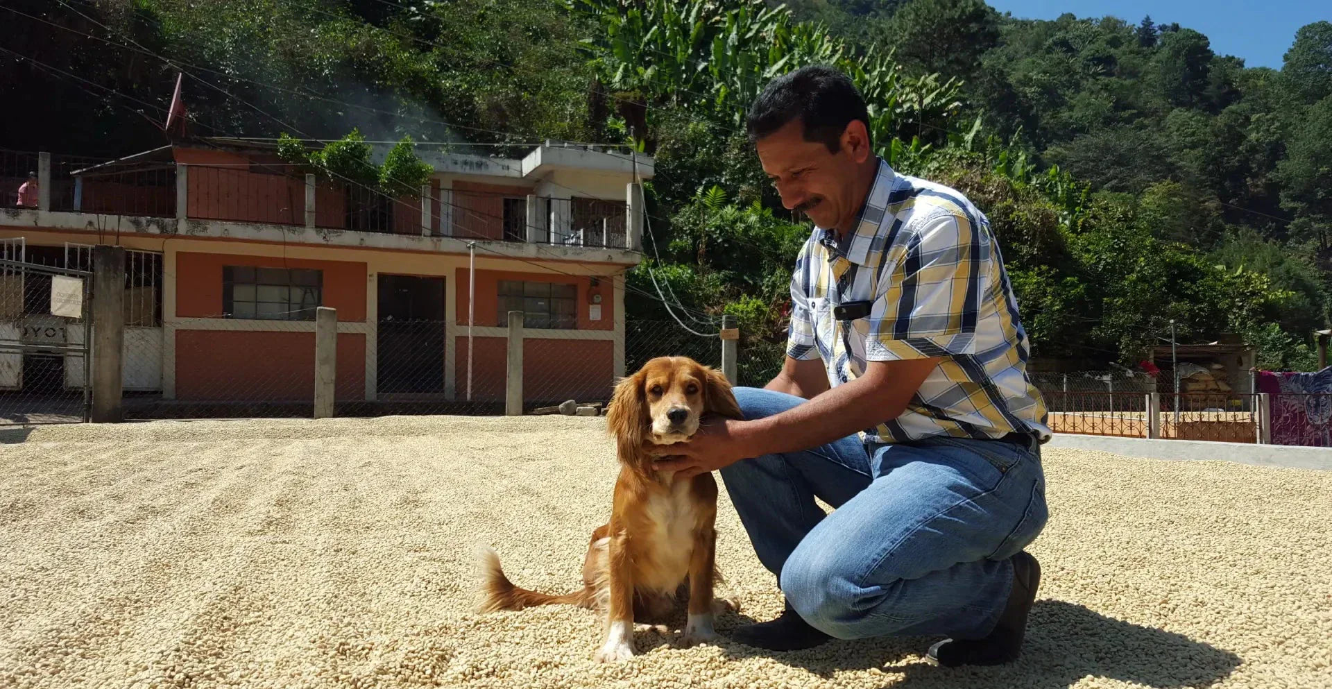 A Dynastic Coffee from Guatemala