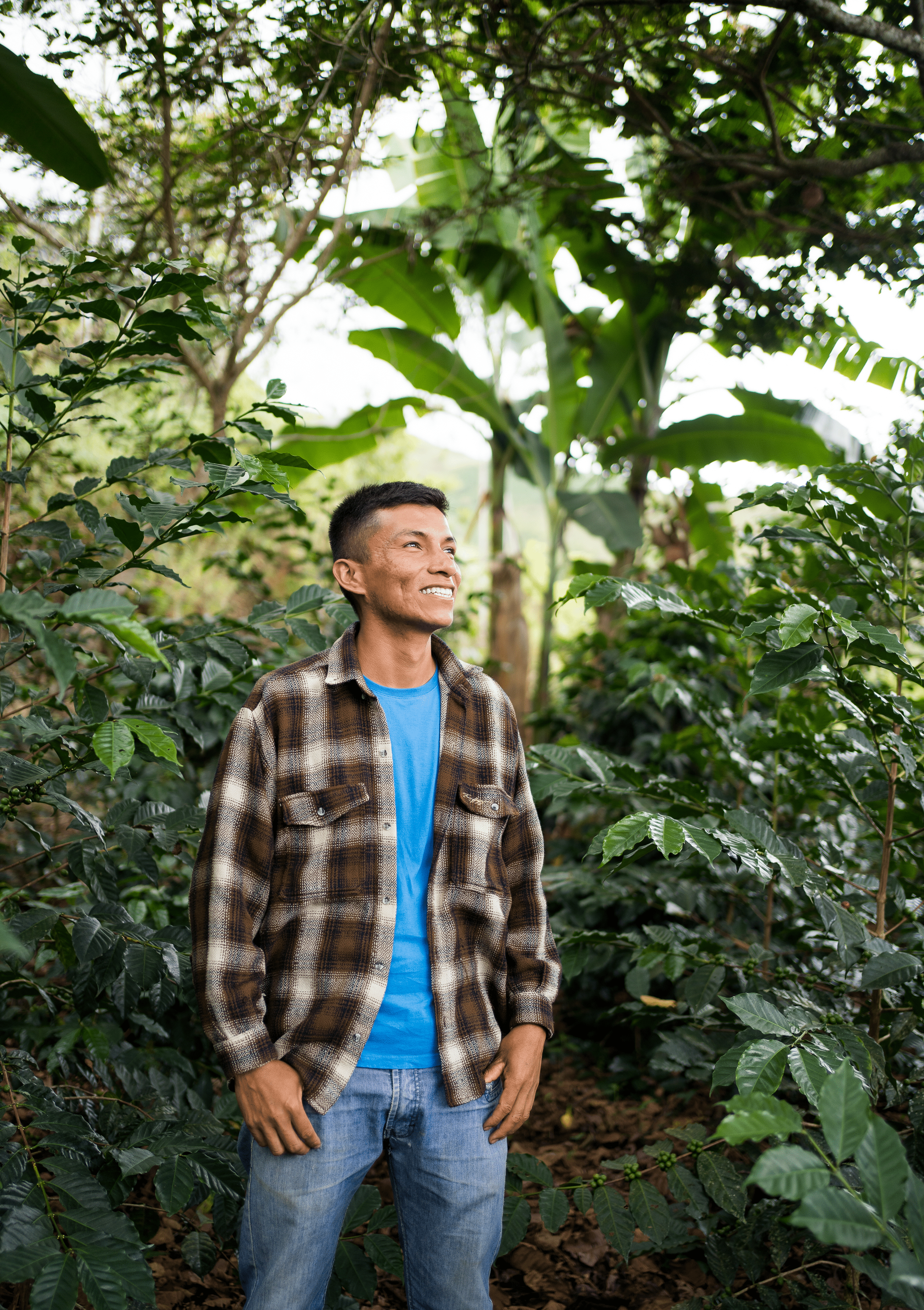 A Fruit Explosion from Andy Llanos in Peru