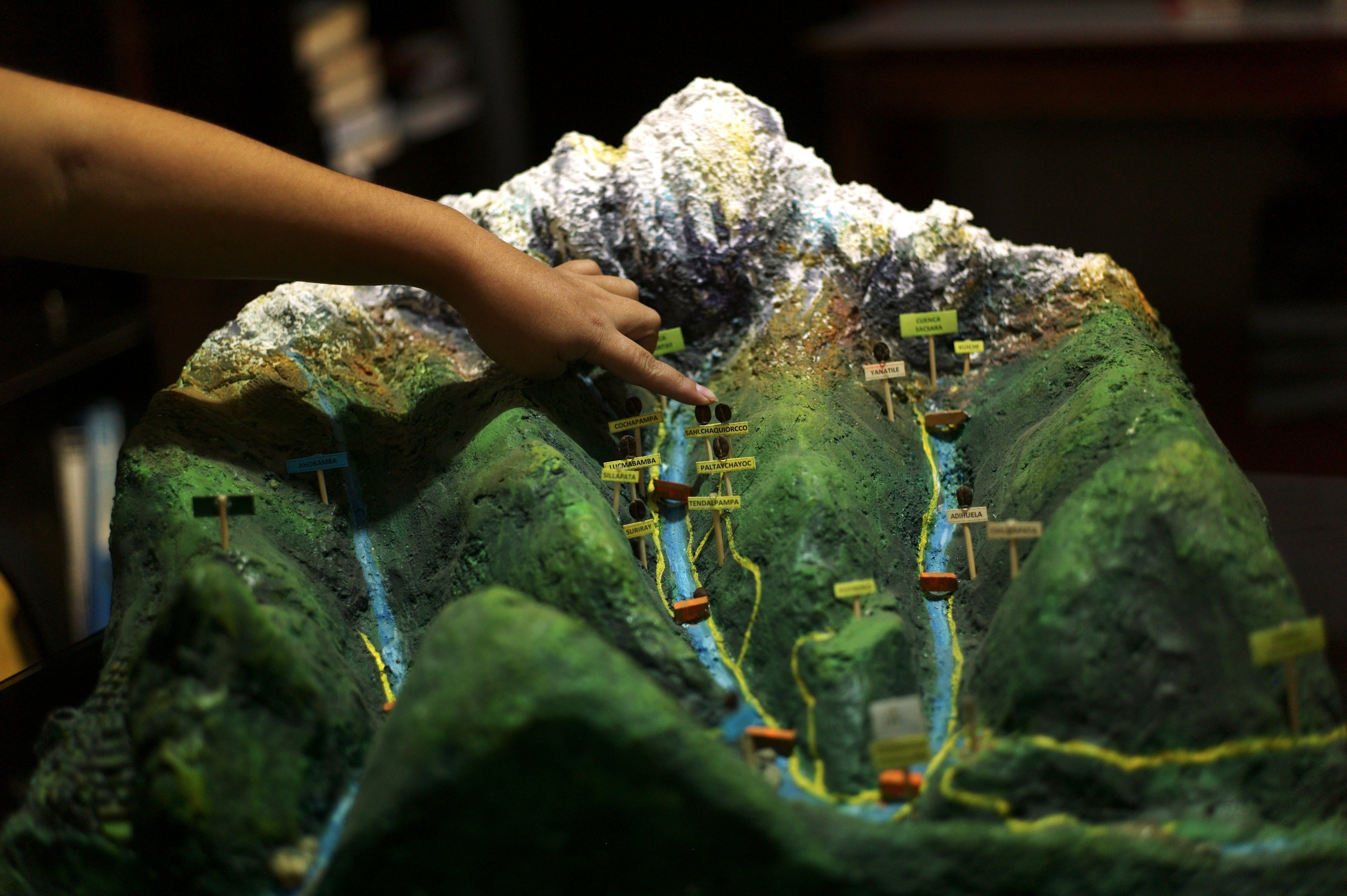 Coffee Trip to Peru’s Sacred Valley