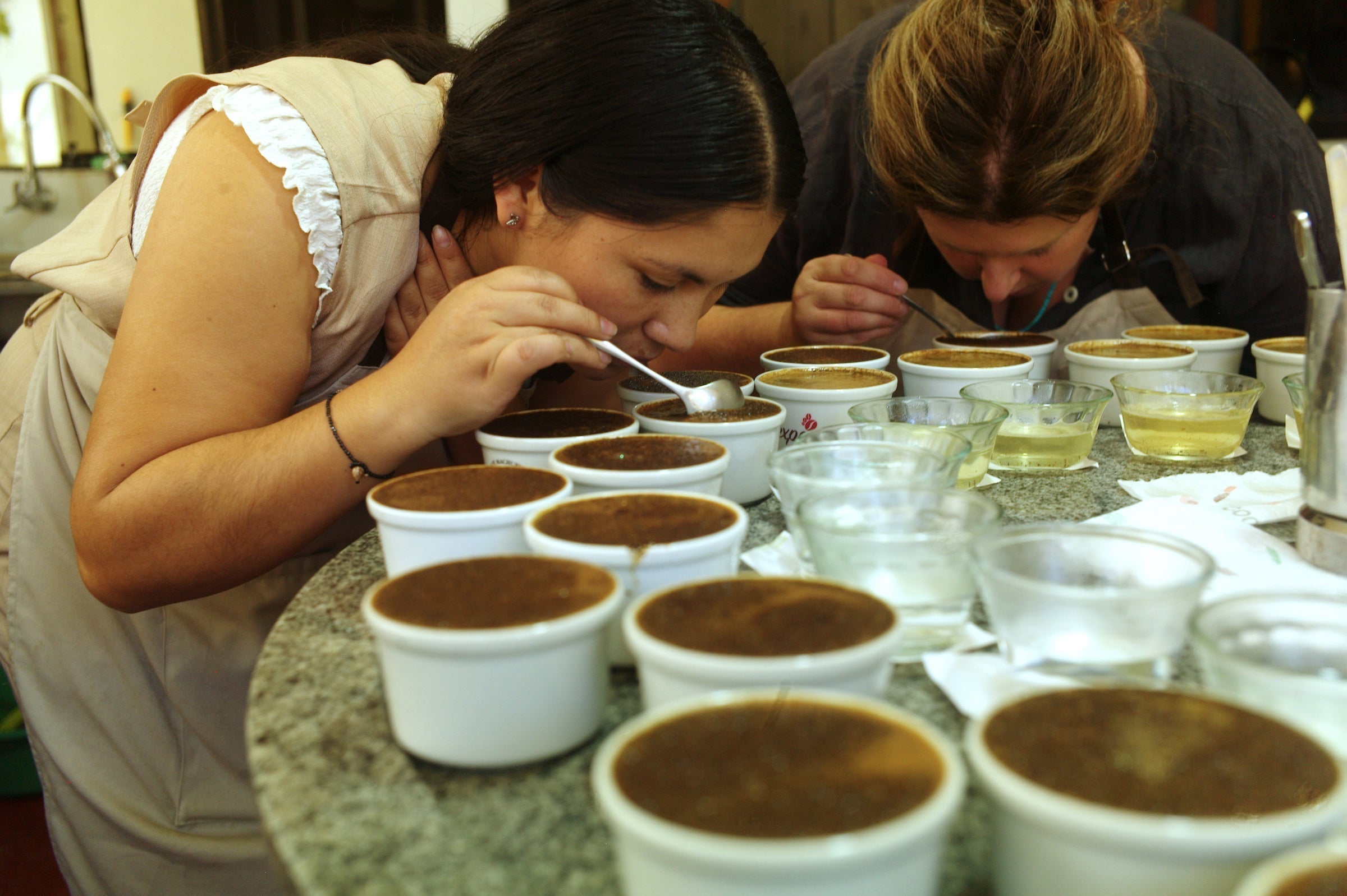 Cupping 101: How to taste coffee like a professional