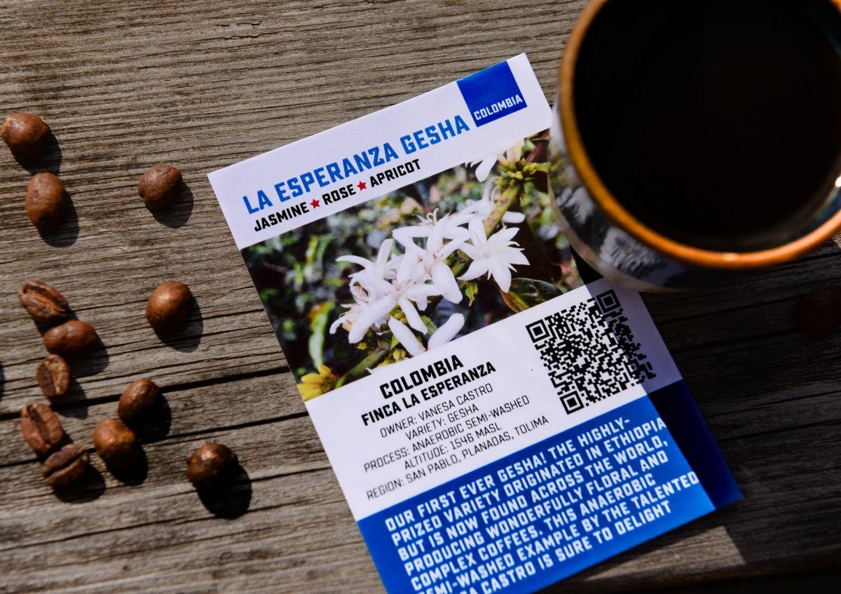 What is Gesha Coffee?