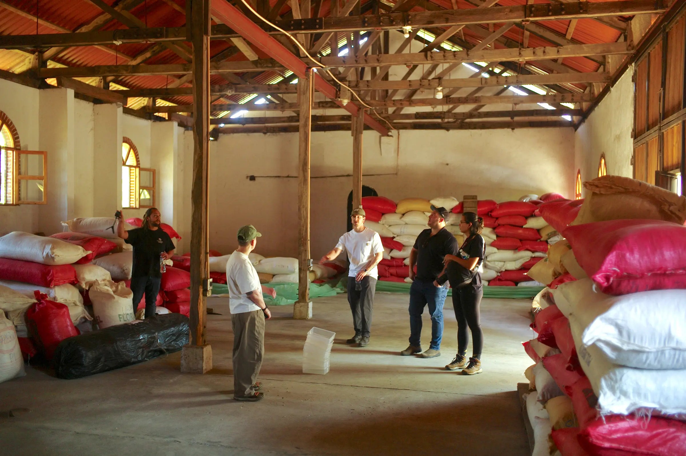 Stories from origin: Guatemalan coffee co-operatives & private farms