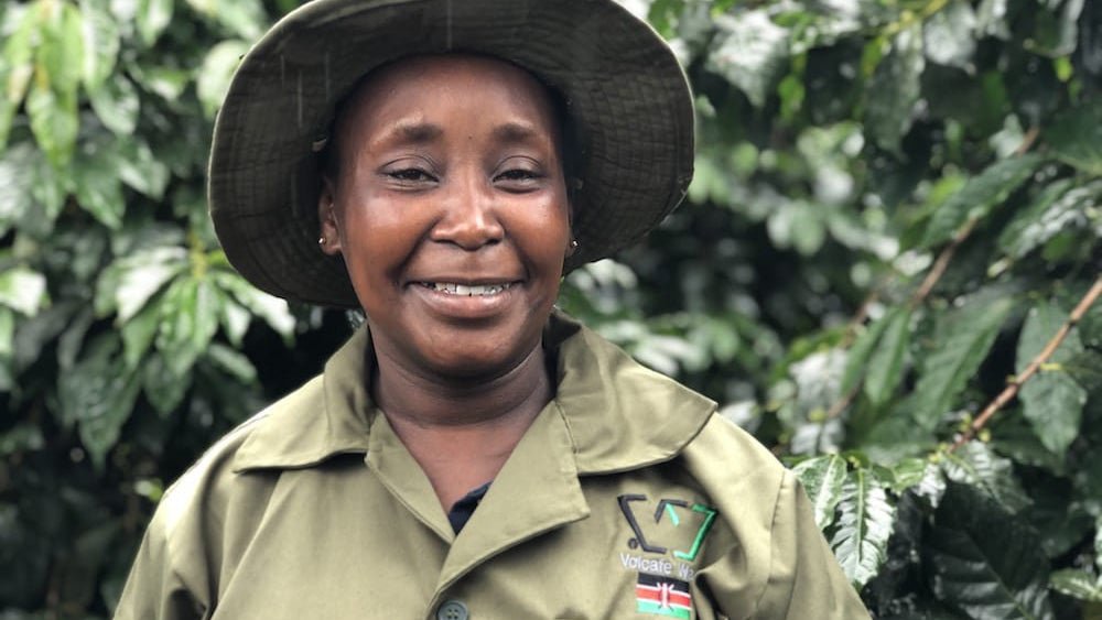 Kenya Origin Trip Day Three: Nairobi Coffee Exchange and Kiambu Farms