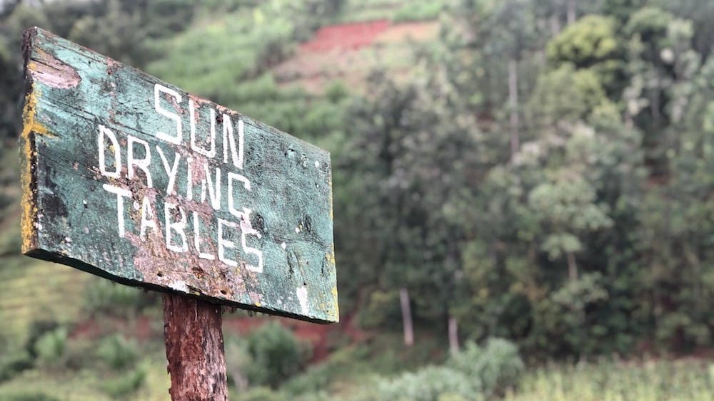 Kenya Origin Trip Day Four: Mchana, Handege, and Wamuguma