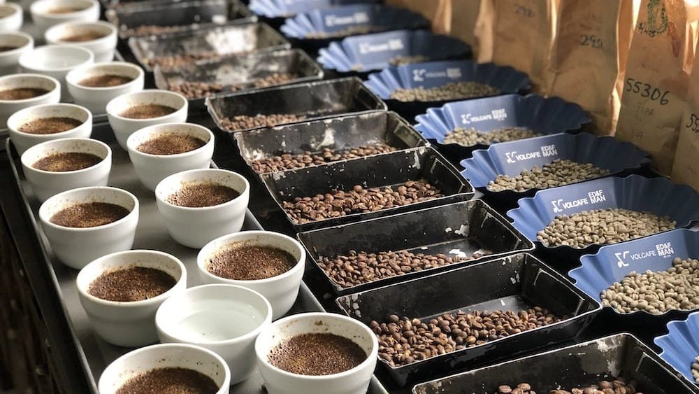 Kenya Origin Trip 2020 Day Two: Coffee Cupping!