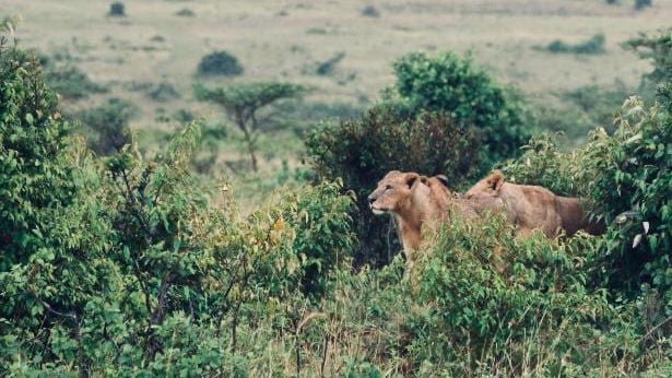 Kenya Origin Trip 2020 - Day One