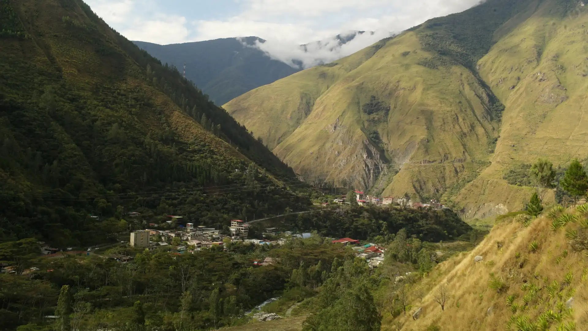 Coffee From Peru's Sacred Valley