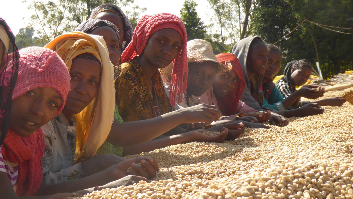 NEW SEASON ETHIOPIANS HAVE ARRIVED