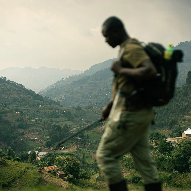 Ugandan Coffee Tasting & Talk with Nomadic Skies