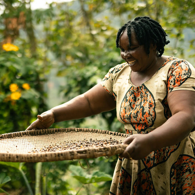 Ugandan Coffee Tasting & Talk with Nomadic Skies