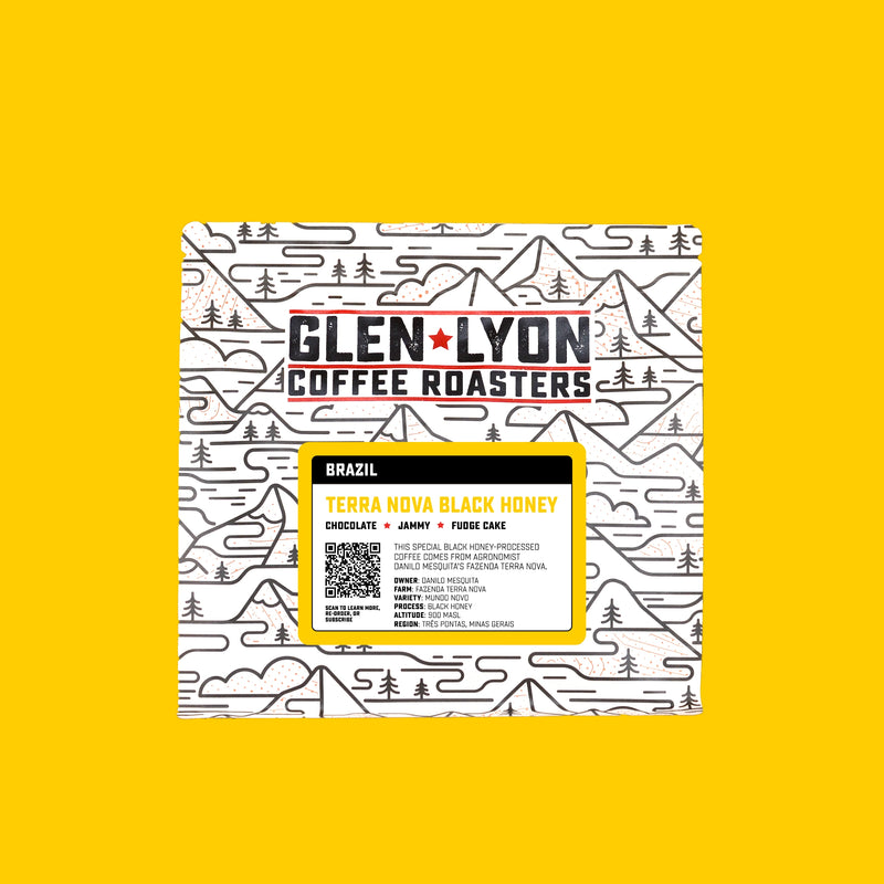 A 250g bag of Brazil Fazenda Terra Nova speciality coffee from Glen Lyon Coffee Roasters with a yellow background.