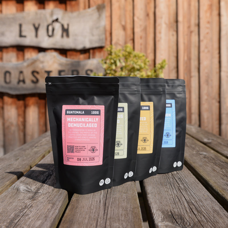 James Hoffmann's The Fermentation Project | Quartet Box