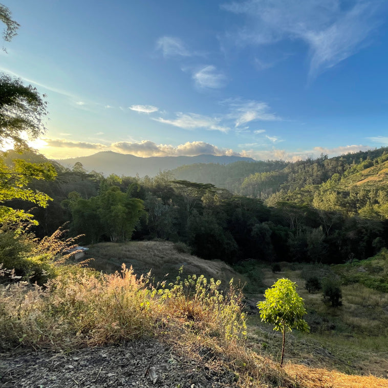 East Timor Rotutu landscape shot of mountains