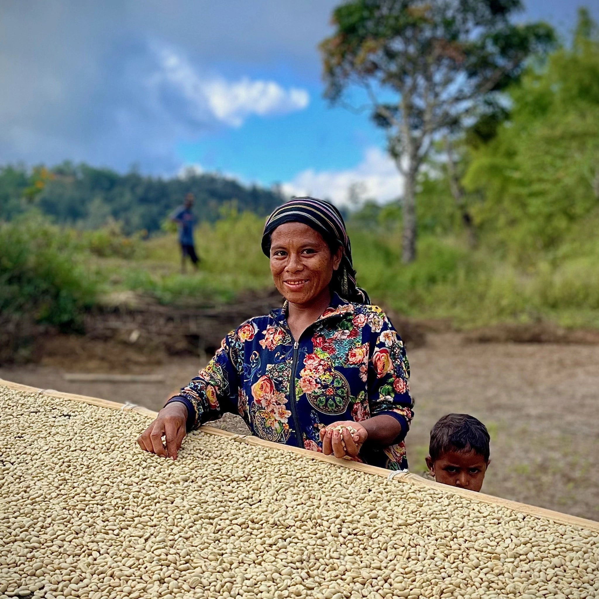 A coffee farmer in Rotutu, East Timor, sorts green coffee on a raised bed
