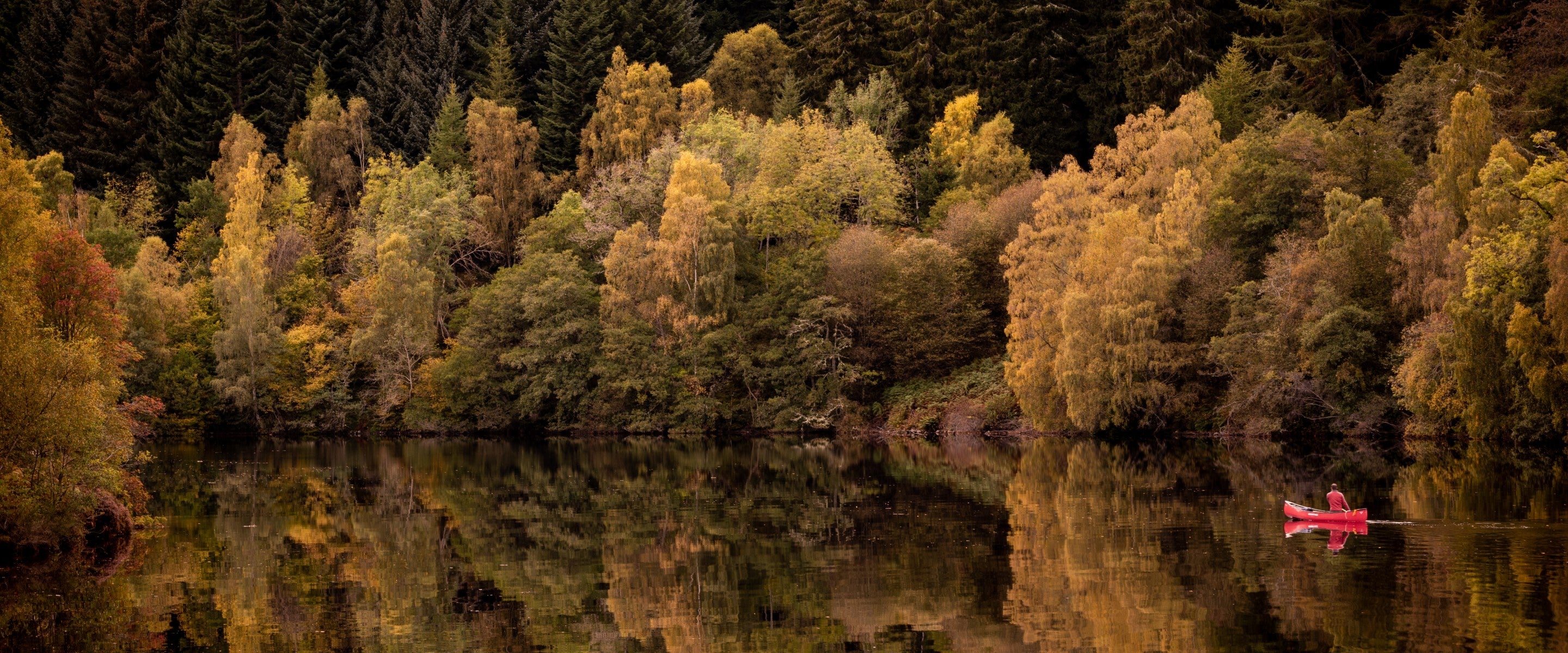 Banner landscape shot of a calm Scottish highland loch with a canoeist and spectacular forests behind, the trees reflected in the water