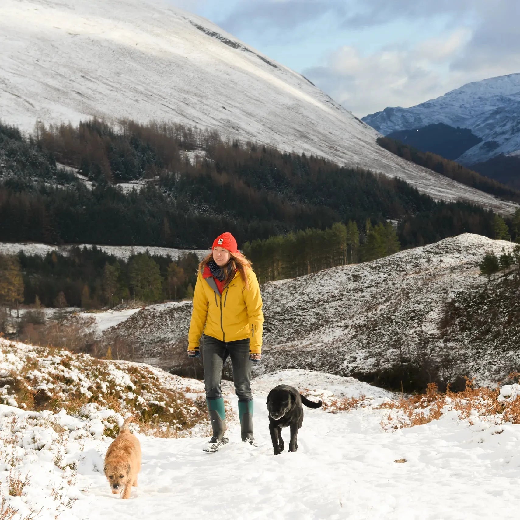 Product dropdown image