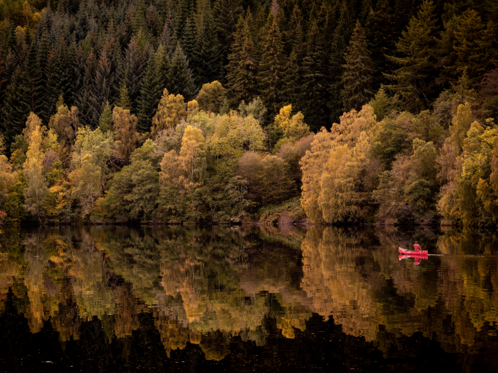 Landscape shot of a calm Scottish highland loch with a canoeist and spectacular forests behind, the trees reflected in the water