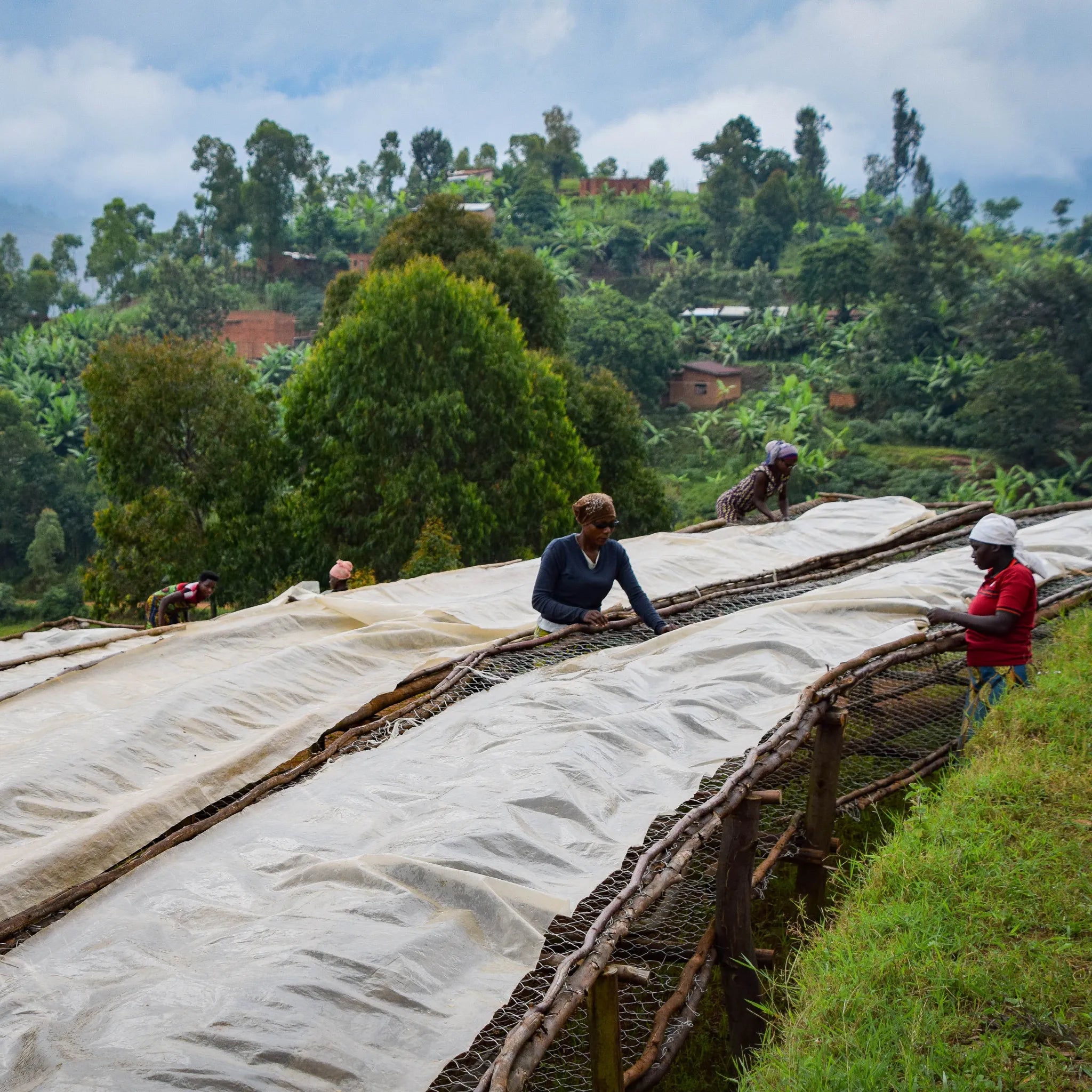 The Migoti washing station in Murambi Hill, Burundi