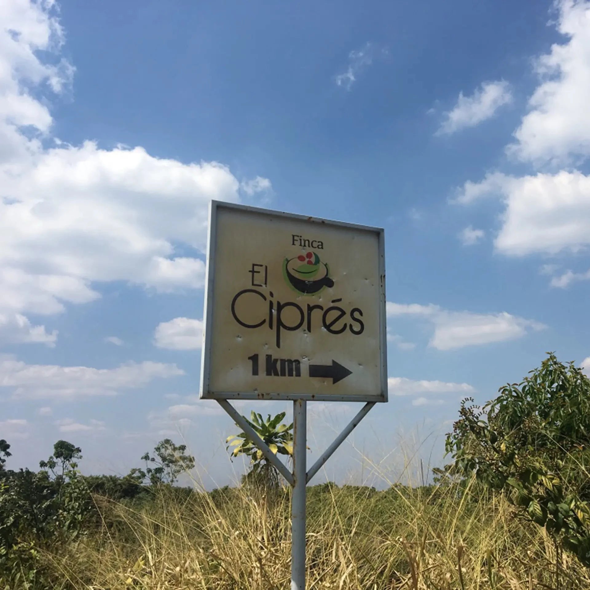 Finca El Cipres 1km signpost in front of a blue sky and greenery